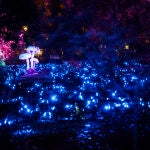 Acto inauguracion Naturaleza Encendida en el Jardin Botanico
