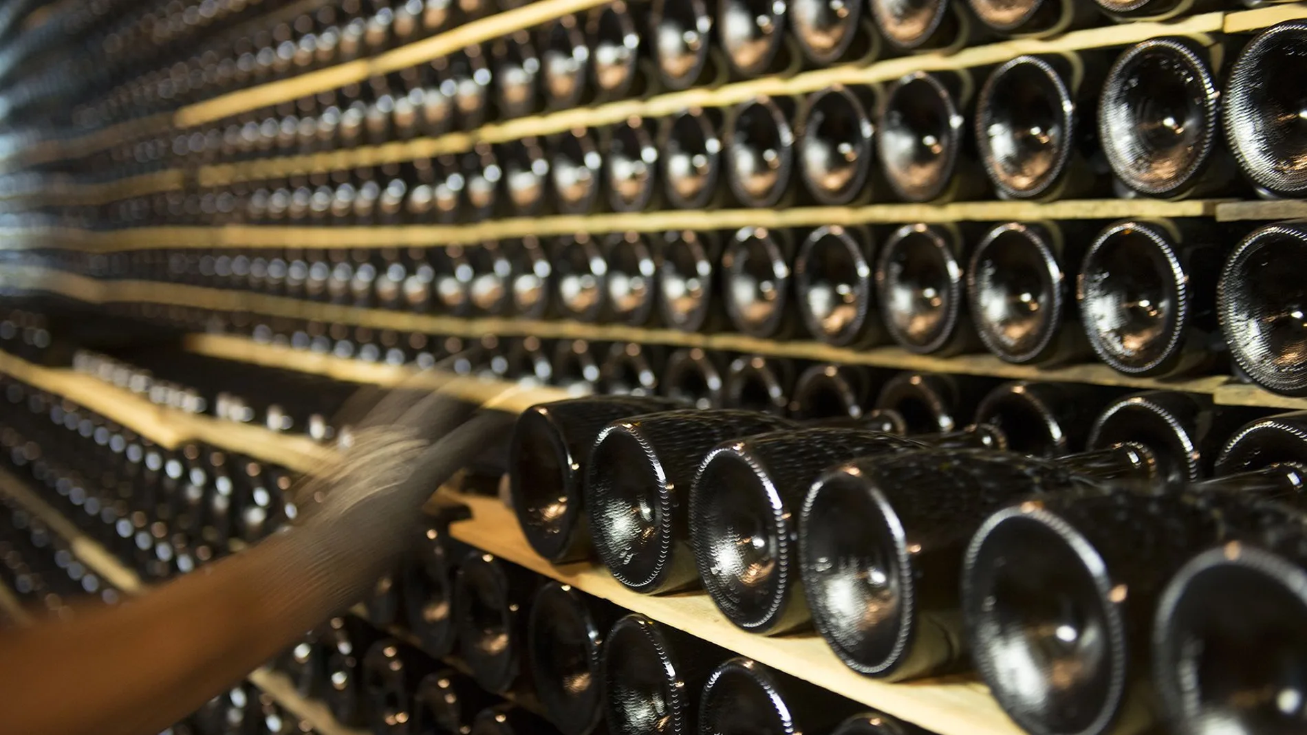 Imagen de la bodega