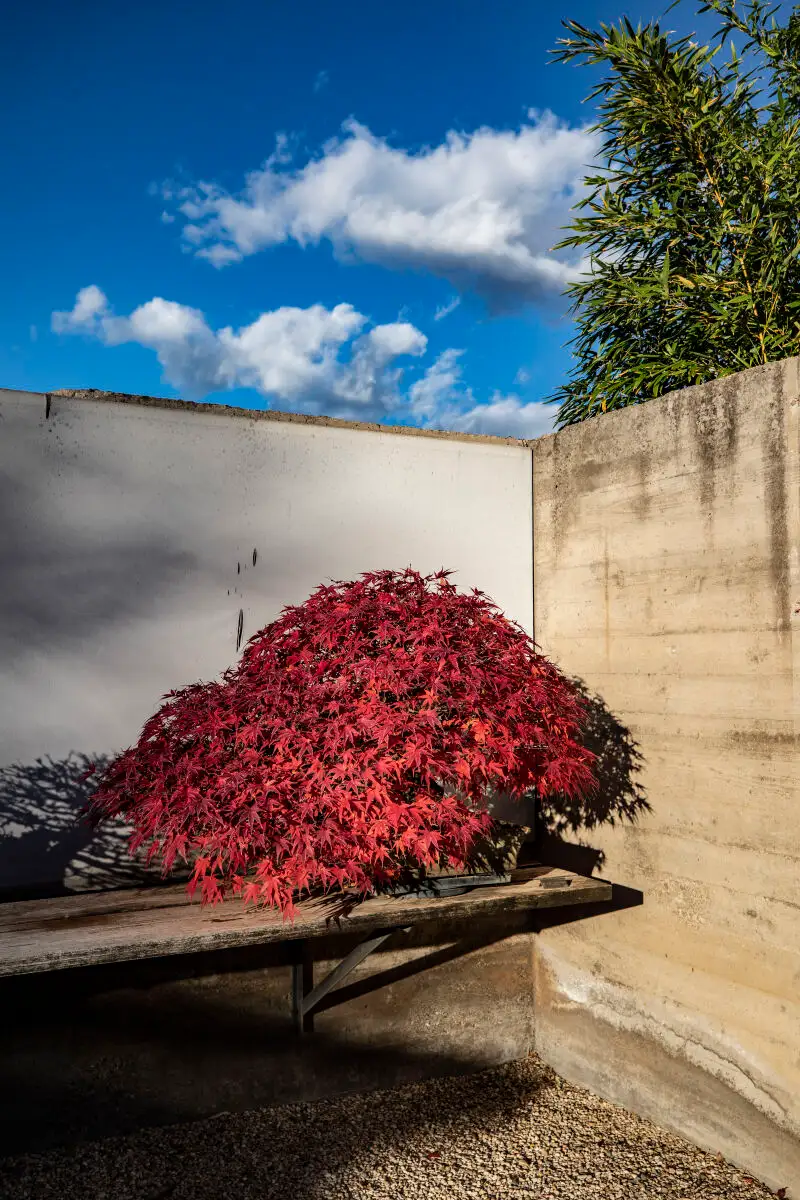 El otoño es, sin duda, una de las estaciones más especiales para visitar el Museo