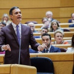 El Gobierno hace frente a las preguntas de la oposición sobre la ley del 'sí es sí' en el Senado