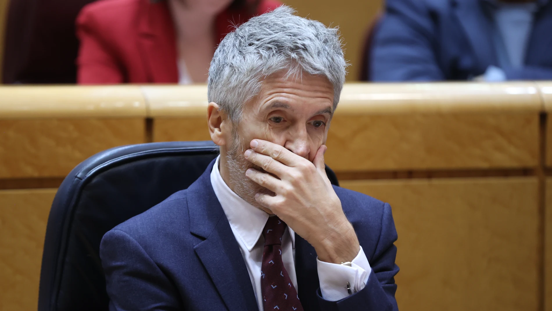 El ministro del Interior, Fernando Grande-Marlaska, en el pleno del Senado en Madrid el pasado martes. EFE/Kiko Huesca