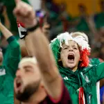 Aficionados de México, en el partido contra Polonia