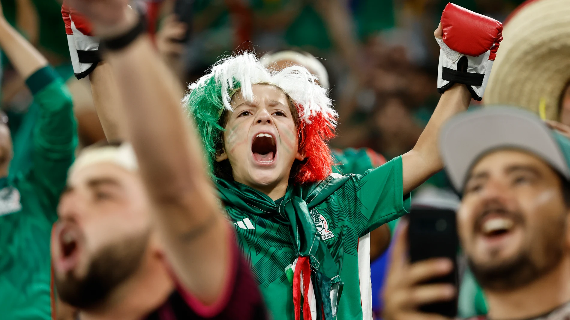 Aficionados de México, en el partido contra Polonia