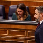 Irene Montero en el pleno del Congreso de los Diputados