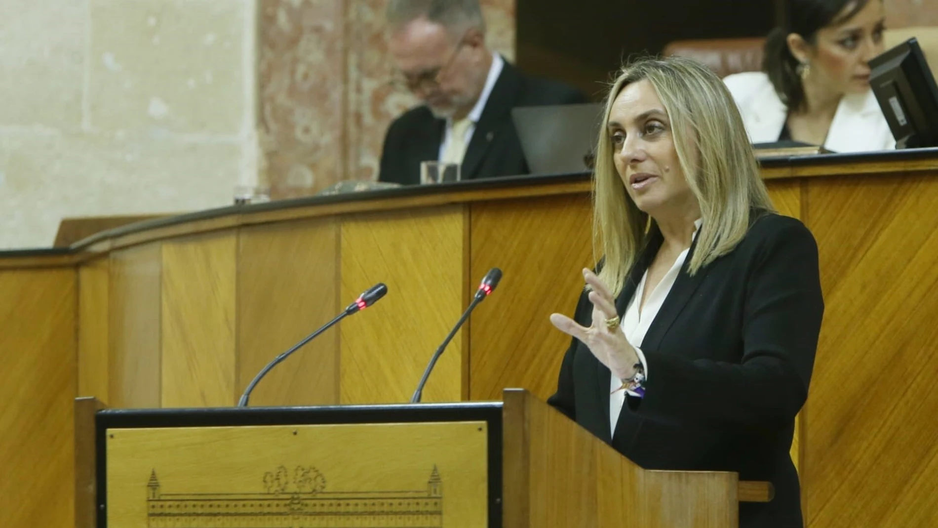La consejera Marifrán Carazo interviene en el Parlamento de Andalucía