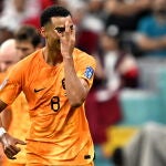 Gakpo celebra un gol contra Qatar en el Mundial