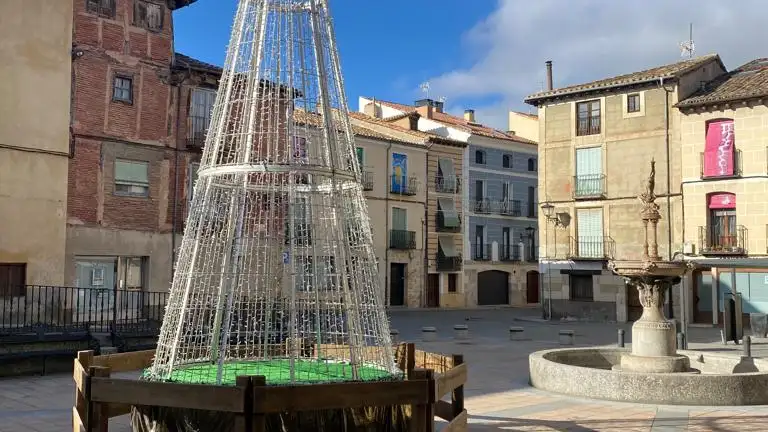 Árbol en la plaza de Santo Domingo