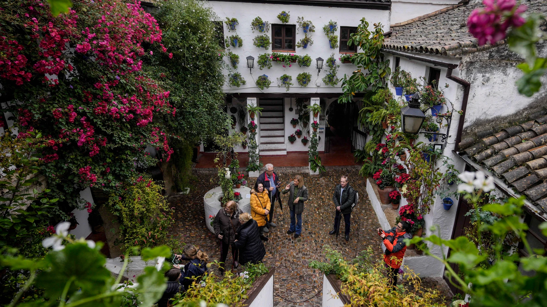 Vista de la entrada del patio de San Basilio este martes en Córdoba, que celebra el décimo aniversario de la declaración de los Patios Cordobeses como Patrimonio Cultural Inmaterial de la Humanidad por parte de la Unesco. EFE/ Rafa Alcaide