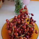 El margallón es el fruto del palmito, una palmera que crece en el Mediterráneo