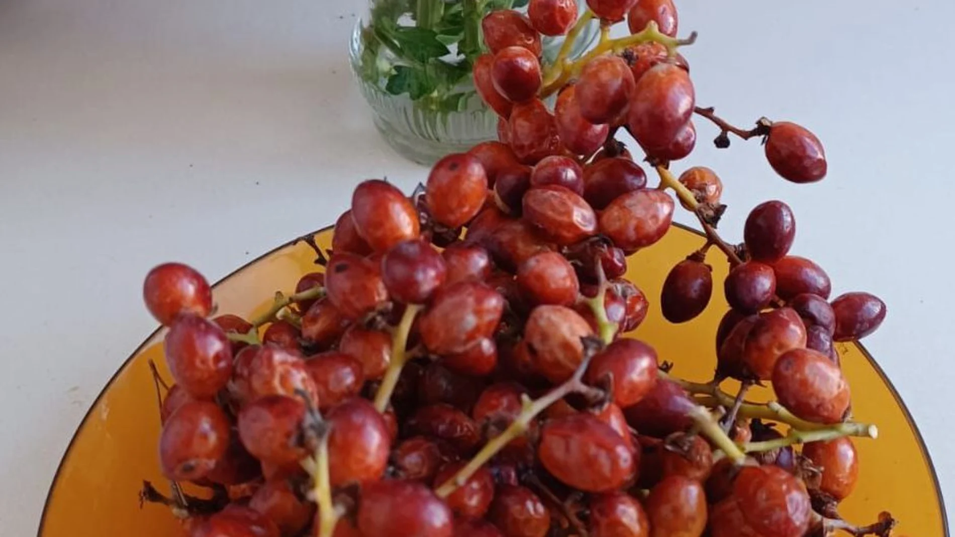 El margallón es el fruto del palmito, una palmera que crece en el Mediterráneo