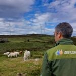 La compañía establece un innovador marco contable para la cuantificación del impacto de sus acciones en los ecosistemas
