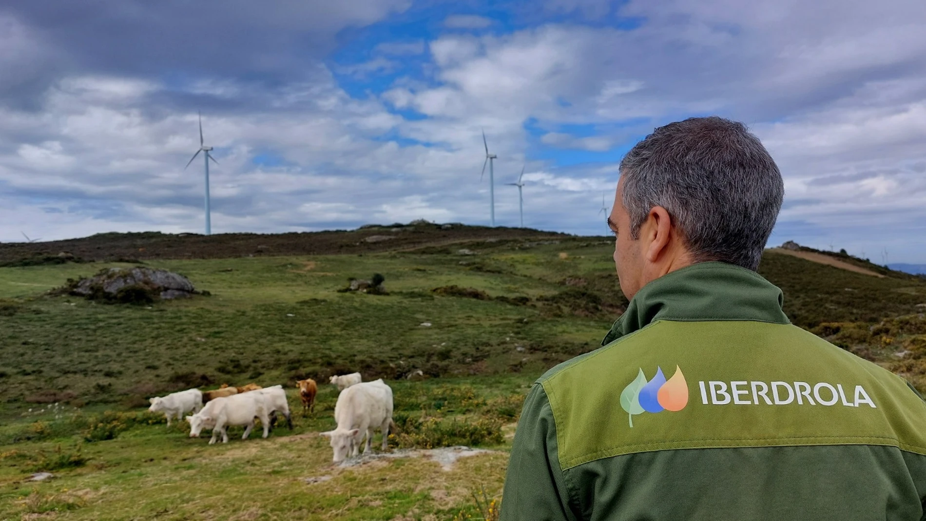 La compañía establece un innovador marco contable para la cuantificación del impacto de sus acciones en los ecosistemas
