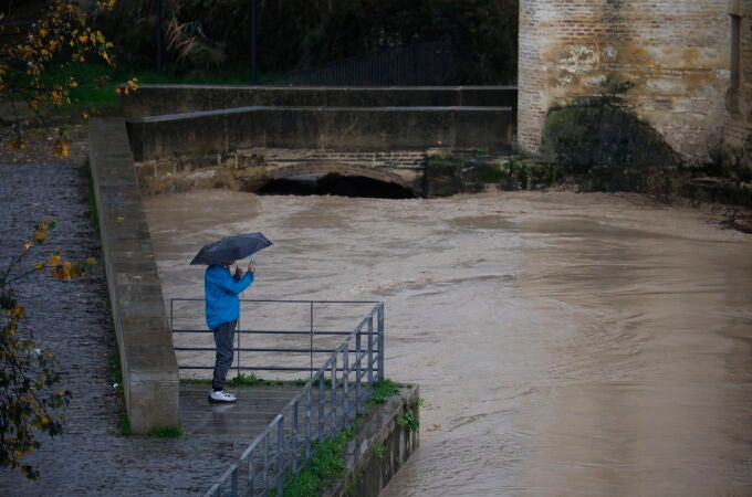 Una persona fotografía el estado en el que se encuentra el río Guadalquivir junto al Puente Romano en Córdoba. EFE/Salas