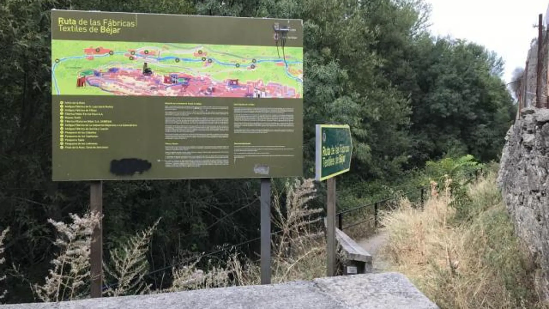 El jabalí atacó a la mujer en un paraje cercano a Béjar conocido como La Francesa