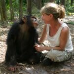 Los seres humanos compartimos un 98,8 % de nuestros genes con los chimpancés