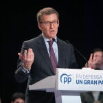 El presidente del Partido Popular, Alberto Núñez Feijóo, durante en el acto ‘En defensa de un gran país’ en el Palacio de Congresos Príncipe Felipe, a 19 de diciembre de 2022