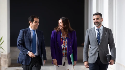 La consejera de Inclusión Social, en el centro, acompañada por el consejero de Justicia y el de Sostenibilidad y portavoz del Gobierno