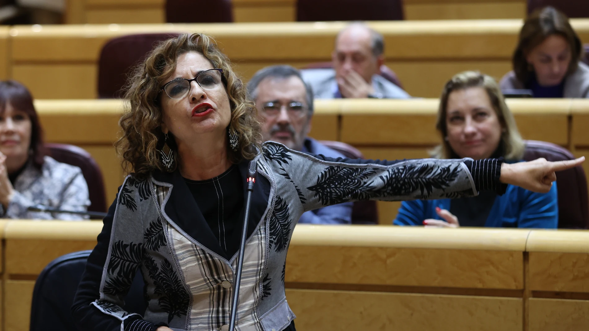 La ministra de Hacienda, María Jesús Montero interviene en el pleno del Senado