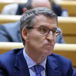 El líder del Partido Popular, Alberto Núñez Feijóo durante el pleno del Senado, este miércoles en Madrid . EFE/ Kiko Huesca