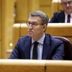 Pleno en el Senado con el debate de la sedicion como protagonista.