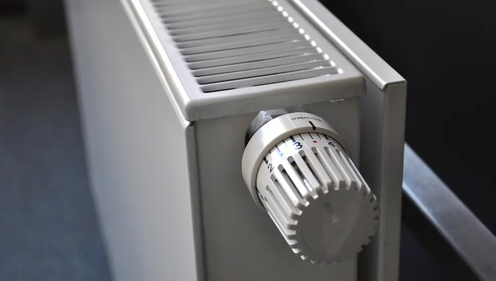 Un correcto mantenimiento de los radiadores puede multiplicar su eficiencia | Fuente: ri / Pixabay