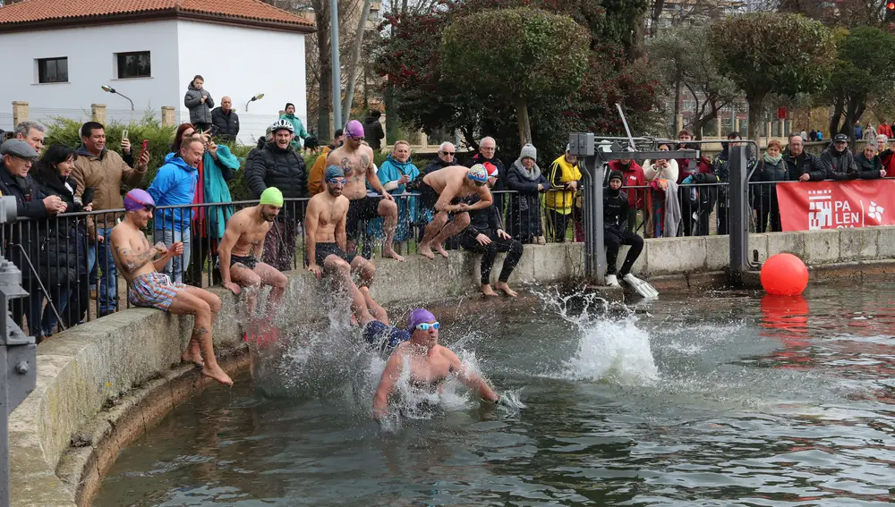 Chapuzón Solidario en el Canal de Castilla en Palencia