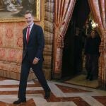 El rey Felipe VI a su llegada a la reunión del Patronato de la Fundación Princesa de Girona en el Palacio Real en Madrid.