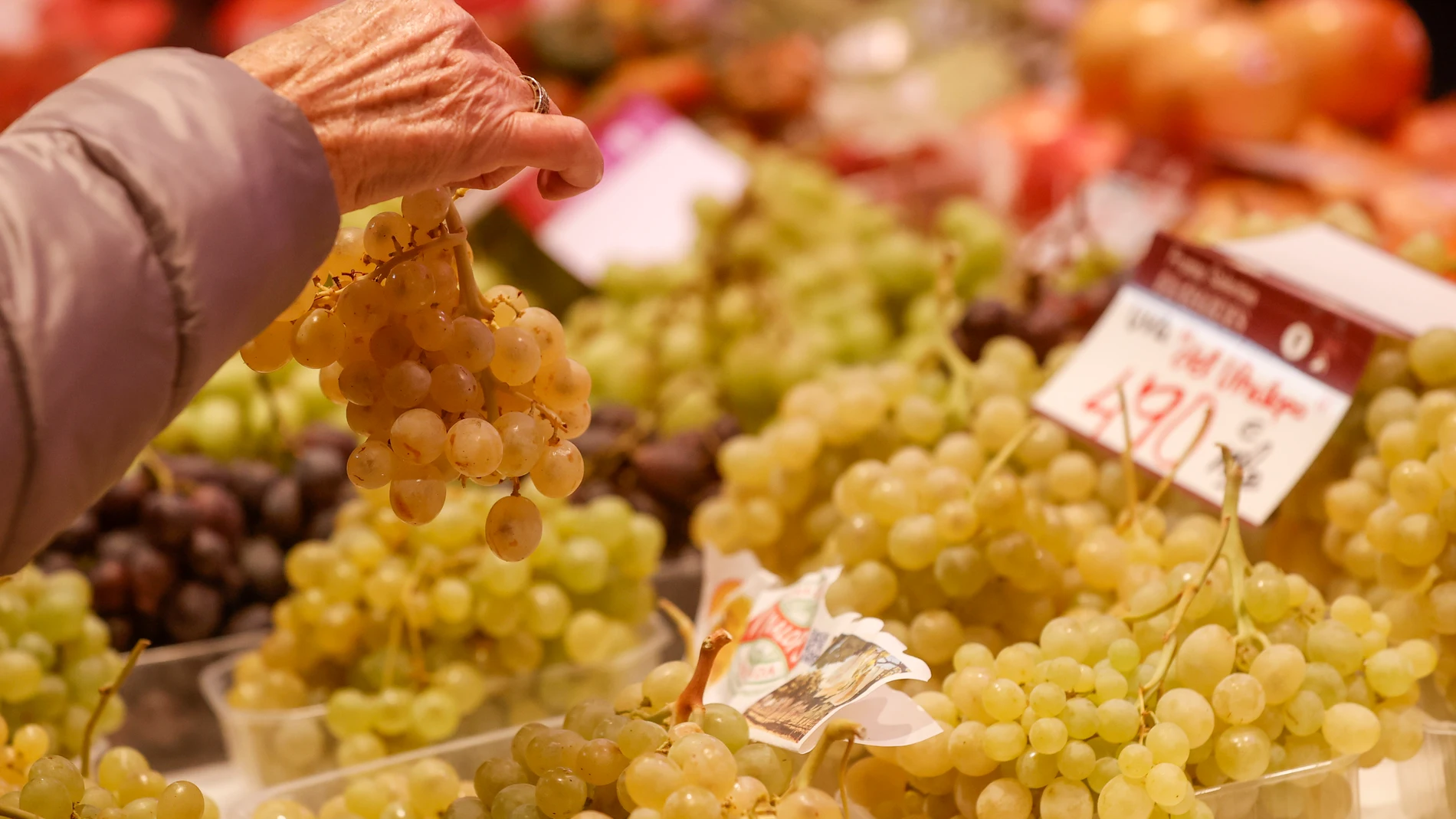 Una mujer escoge un ramillete de uva en el Mercado Central cuando dos de cada tres uvas consumidas procederán este fin de año de la DOP del Vinalopó (Alicante)