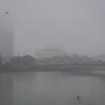 Niebla densa en Sevilla