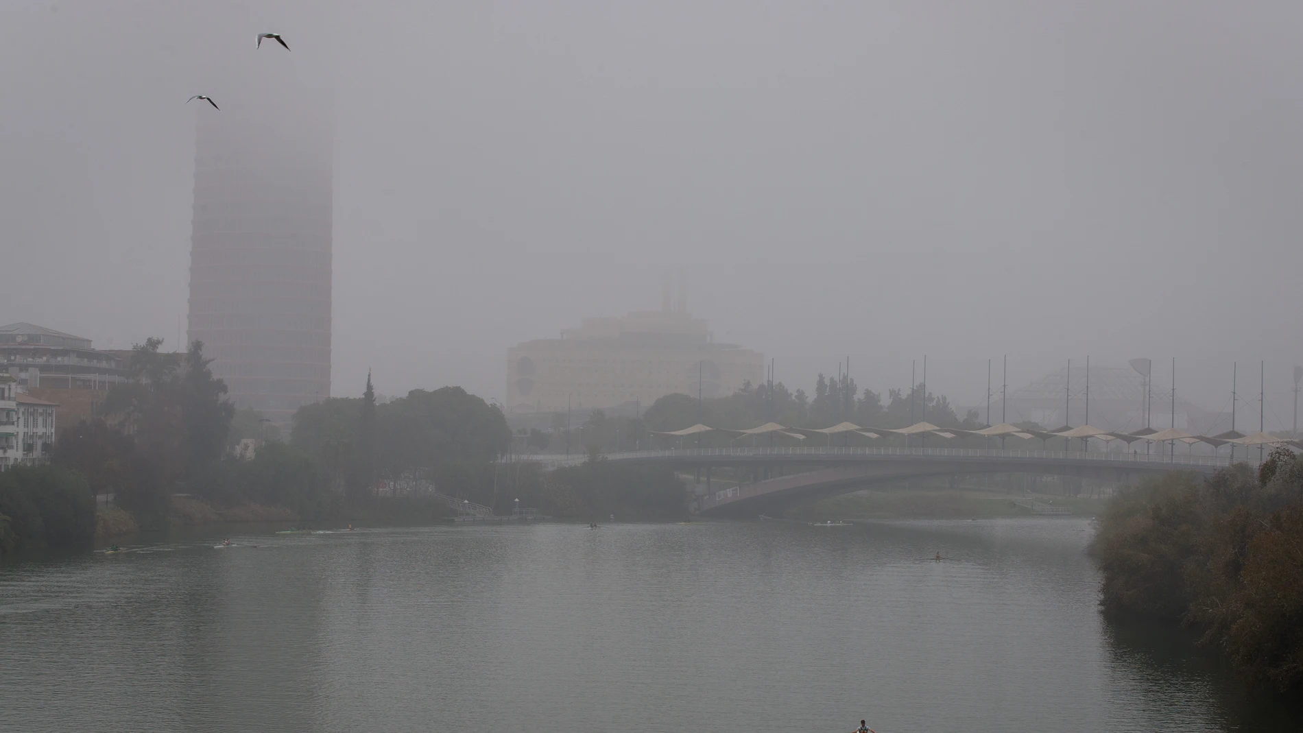 Niebla densa en Sevilla