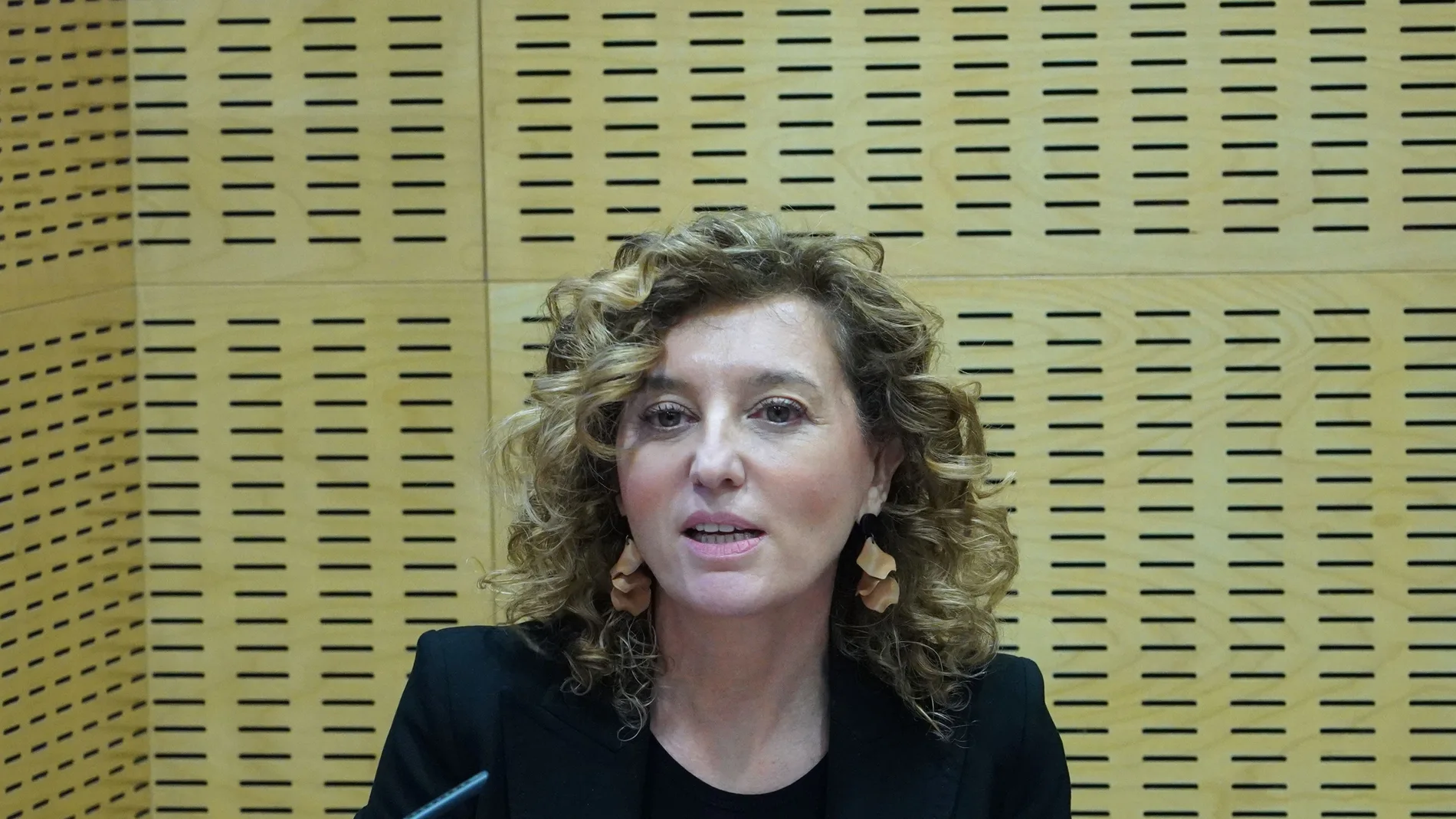 La directora general de Vivienda, Arquitectura, Ordenación del Territorio y Urbanismo, María Pardo, informa sobre las ayudas en materia de vivienda.