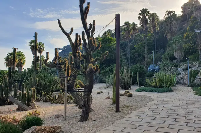 El rincón olvidado de Barcelona con más de 200.000 cactus de todo el mundo