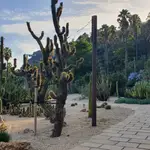 Jardines de Mossèn Costa i Llobera en Barcelona