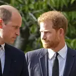 Los príncipes William y Harry