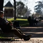 Una persona jubilada lee en el parque del Retiro (Madrid)