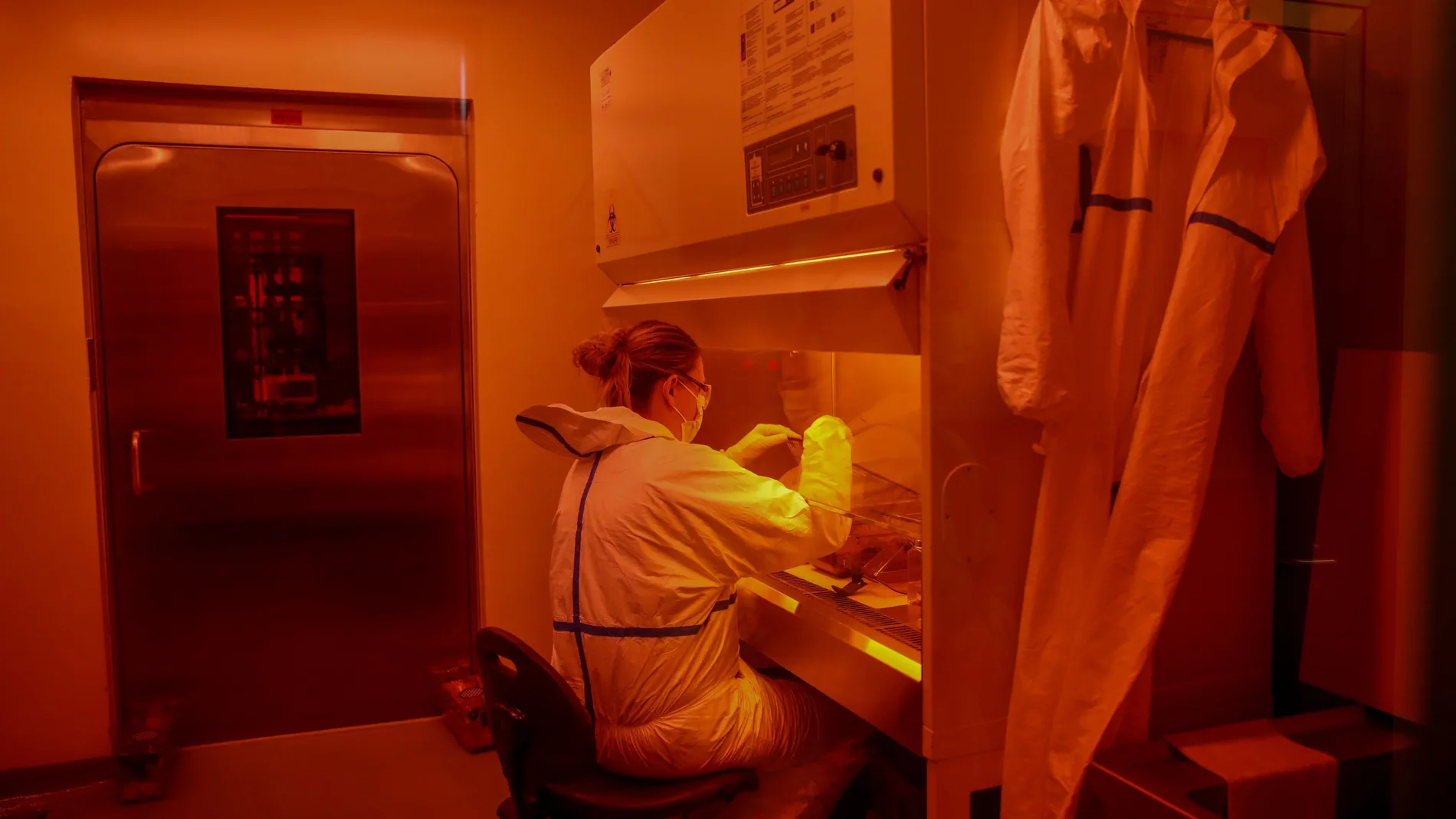 Un investigador realiza su labor en la Unidad de Alta Seguridad Biológica en las instalaciones de el laboratorio de IRTA-CReSA de la farmacéutica gerundense Hipra. EFE/ Toni Albir