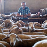 Explotación ganadera de ovino de leche de Castilla y León