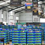 La Cooperativa Las Virtudes