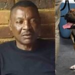 Los perros de el exinternacional de Zambia, Philemon Mulala fueron retirados por una protectora