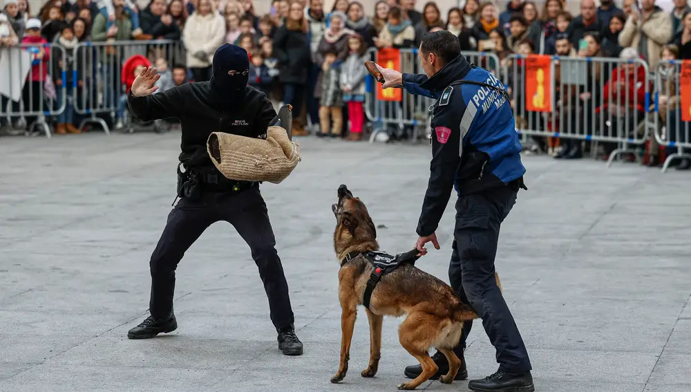 Exhibición de una unidad canina de la Policía Municipal de Madrid, este sábado en el Palacio de Cibeles, durante el acto de inicio de las fiestas de San Antón 2023