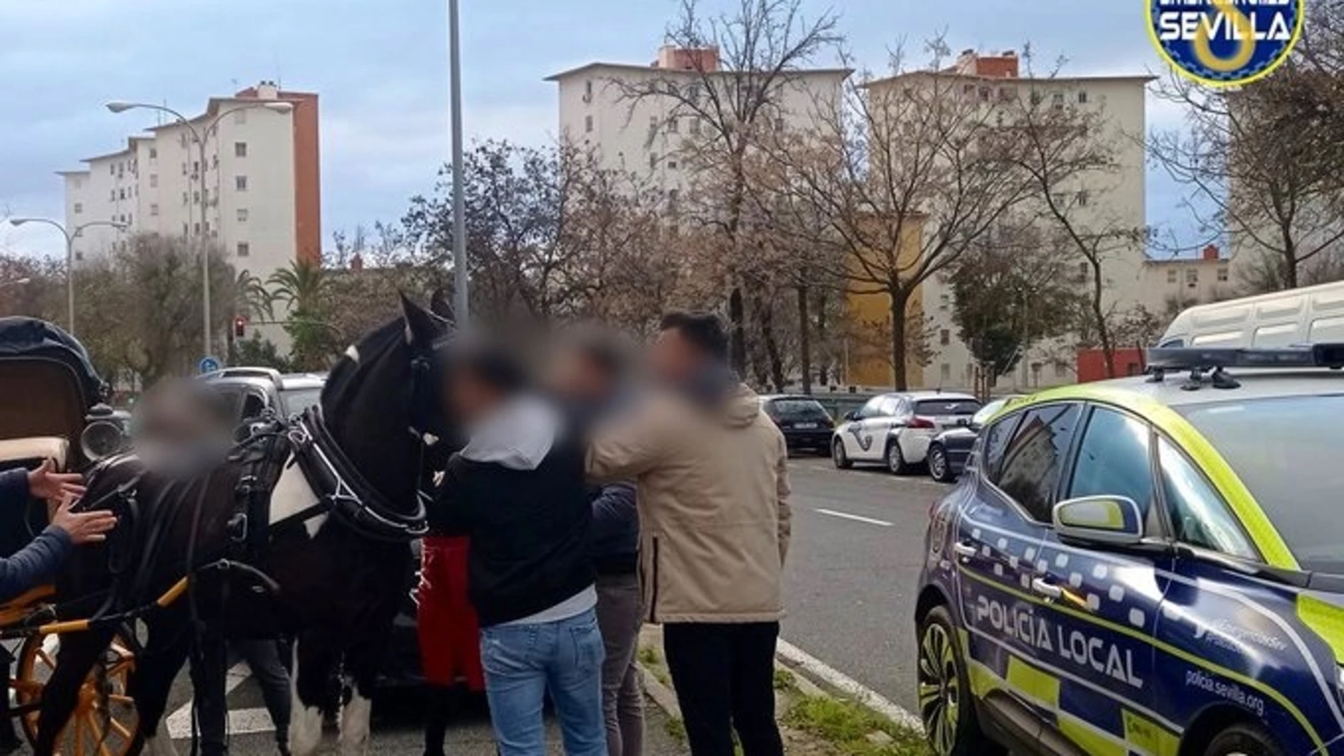 Intervención policial en Los Remedios tras desbocarse un caballo.EMERGENCIAS SEVILLA17/01/2023