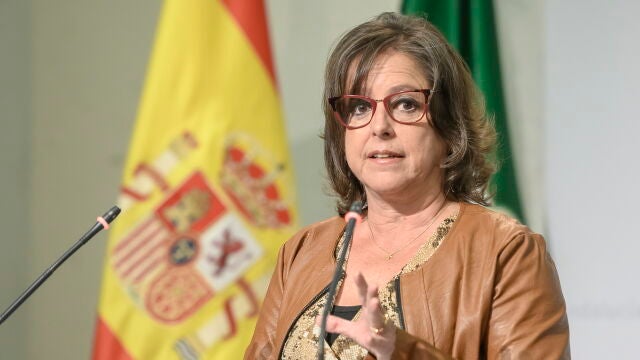 La consejera de Salud y Consumo, Catalina García durante la rueda de prensa posterior al Consejo de Gobierno que ha tenido lugar en el Palacio de San Telmo de Sevilla