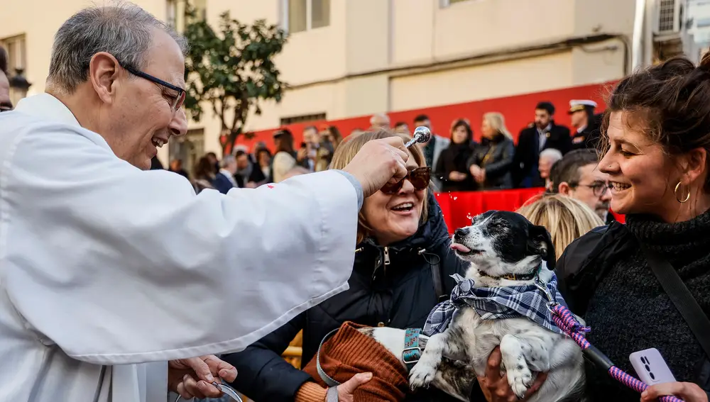 Dos mujeres asisten junto a sus perros a la tradicional bendición y desfile de animales con motivo de la festividad de San Antonio Abad