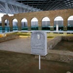 Yacimiento de la Olmeda en Palencia