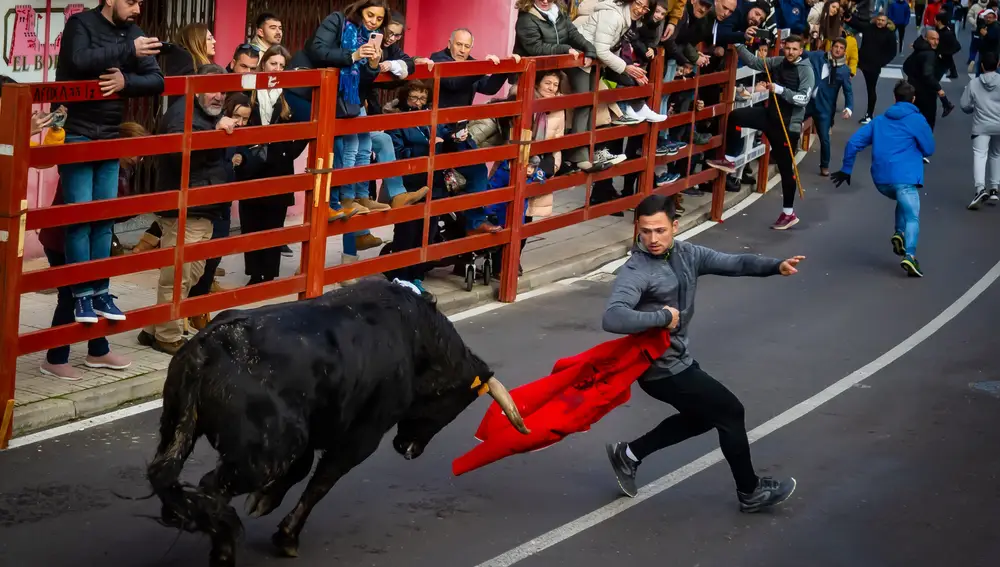 Celebración del Toro de San Sebastián en Ciudad Rodrigo(Salamanca)
