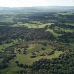 Este es el campo de batalla donde en realidad lucharon los musulmanes y visigodos en julio del año 711