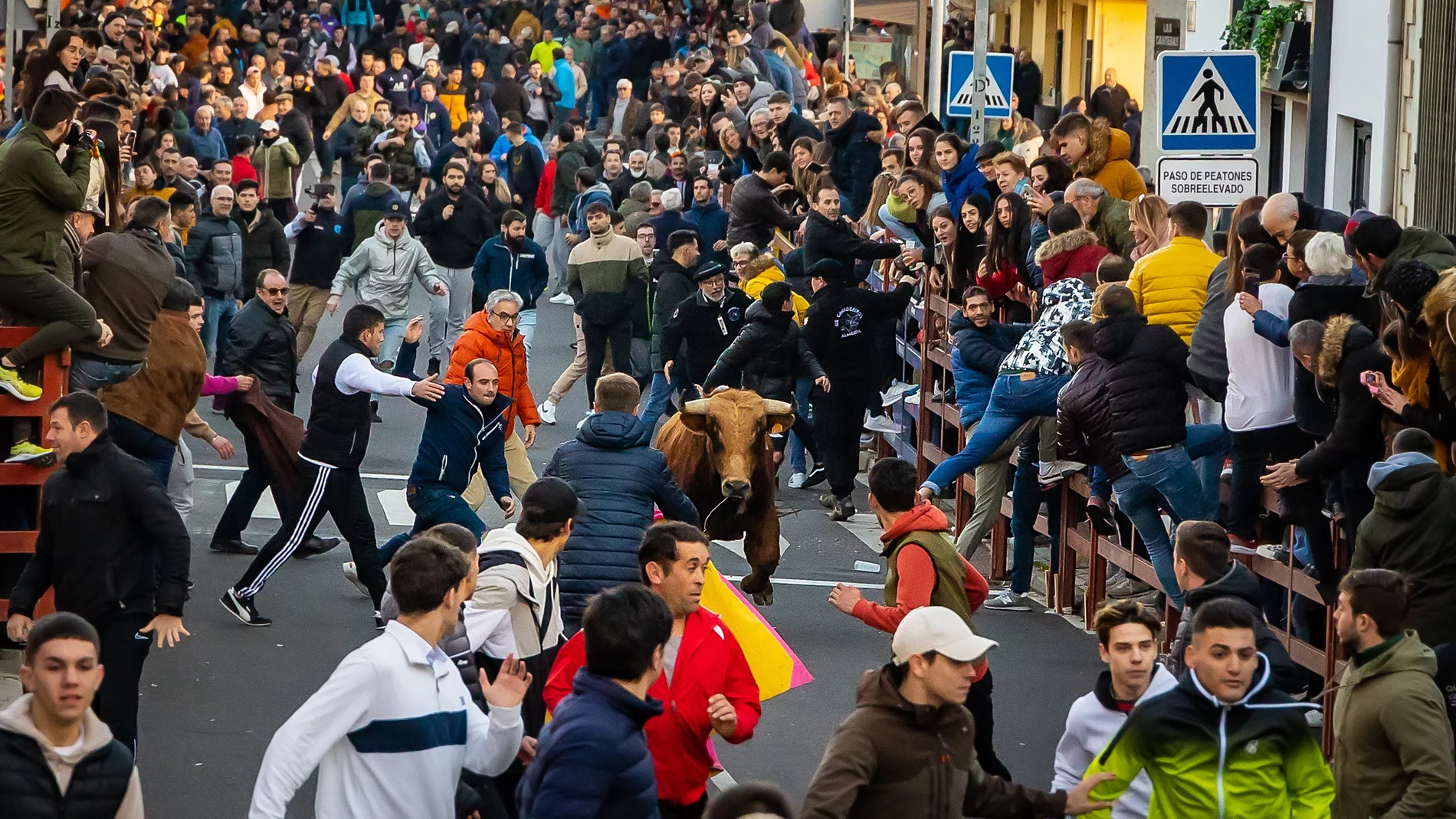 Celebración del Toro de San Sebastián en Ciudad Rodrigo(Salamanca)