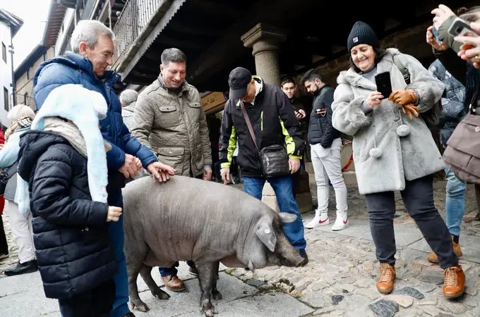 ¿Qué cerdo campa a sus anchas hasta San Antón en uno de los pueblos más bonitos de España?