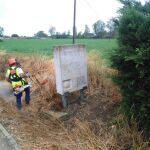 Trabajos de limpieza forestal en la provincia de Palencia