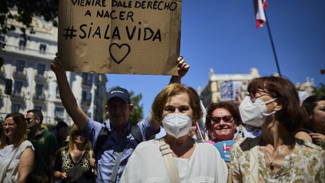 Manifestantes con carteles durante la celebración de la manifestación en defensa de la Vida y la Verdad en Madrid.